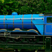 Blue train 1933, RA 9, on tracks with greenery in background.