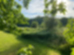 IMG_1531.jpeg