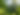 IMG_1531.jpeg