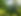 IMG_1531.jpeg