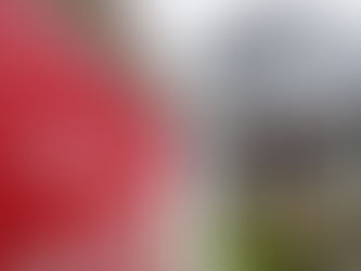 Precios de viviendas alcanzaron récord en 2020