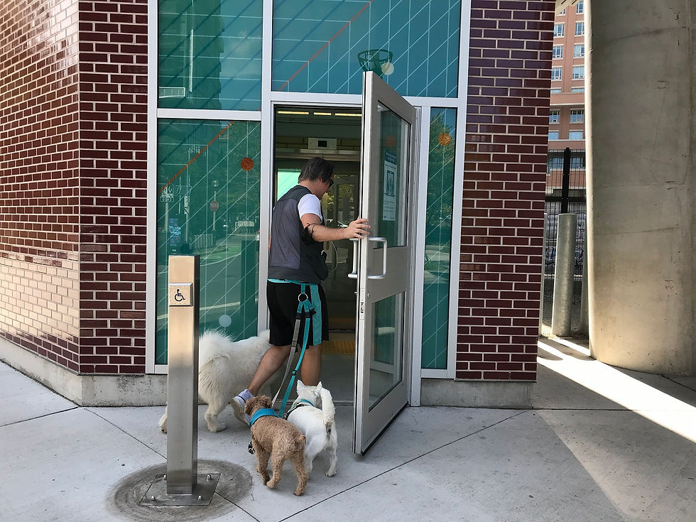 Ontario reporta casi 800 casos nuevos de COVID-19.
