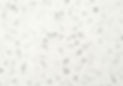 SparkIce_edited.jpg
