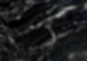 forestblk.jpg
