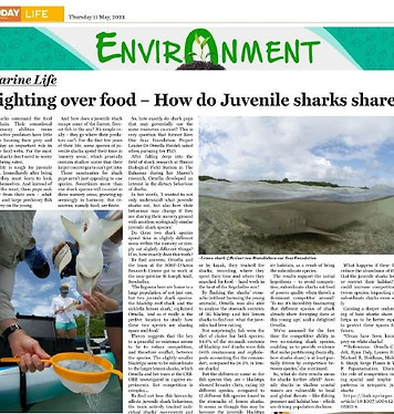 today seychelles.JPG