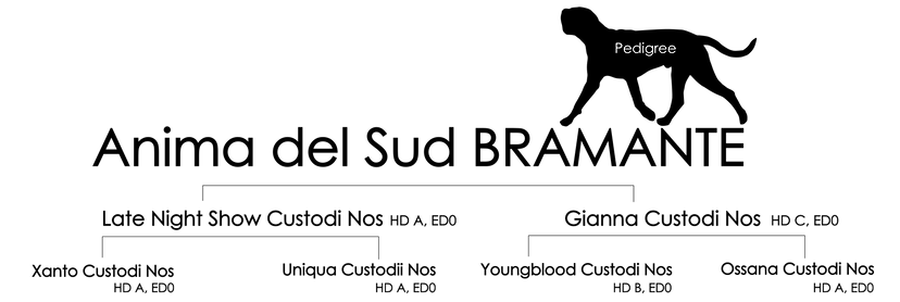 baku pedigree.png