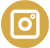 Insta Icon.png