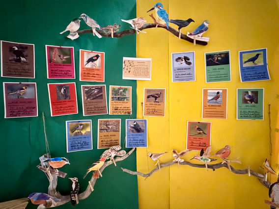  A display of students’ spark birds. 