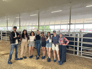 Partner Blog: Beef Farmers of Ontario