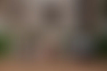 HISTORICAL FEATURE- 2015-16 INTERNS