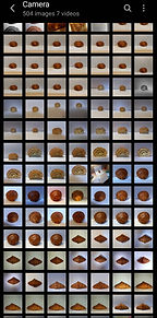 Screenshot_20220314-194618_Gallery.jpg