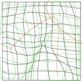 Grid 6