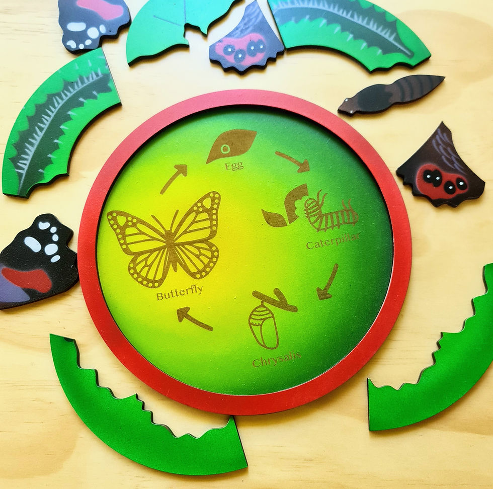 Thumbnail: Red Admiral Butterfly Puzzle