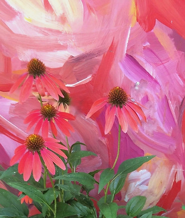 Raspberry Coneflower & Erin Lee Gaffil's