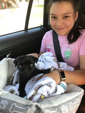 Kona & Buster Girl Green (LIL BIT) - Adopted by Jennifer