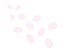 桜の花びら