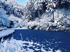 ライジングフィールド山家冬の景色
