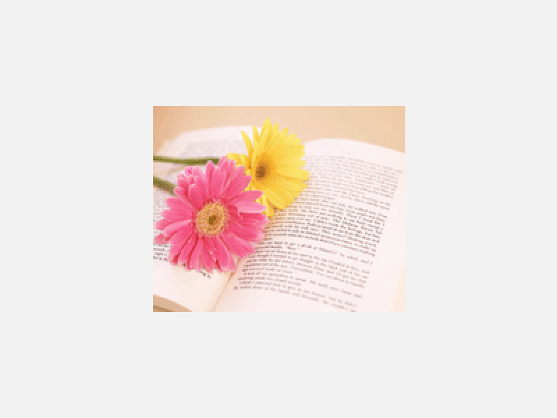 聖書と花