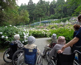 山翠園特別養護老人ホームあじさい見物