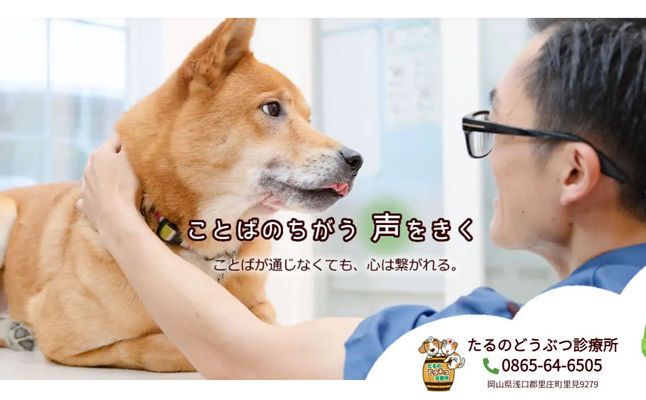 たるのどうぶつ診療所