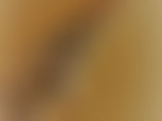 体験レッスン受付中！