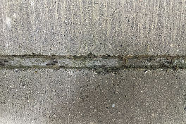 カビ・コケが生えた外壁