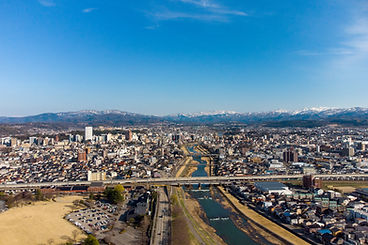北陸三県全域の害虫駆除に対応