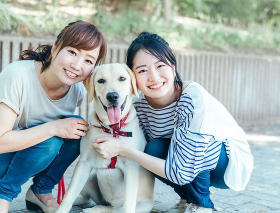 市原市 動物病院 犬・猫の健康診断 予防診療 辰巳台どうぶつ病院
