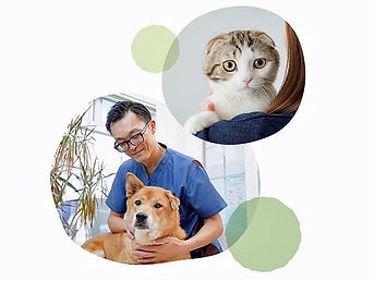 お散歩がてらに立ち寄ってもらえるような病院でありたい、そんな想いでつくった動物病院です。