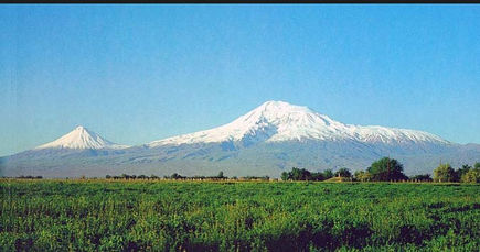 Պարիր,մինչեւ ողջ հայերին դու ամբարես,եւ այս պարը Մասիս սարի լանջին պարես.video