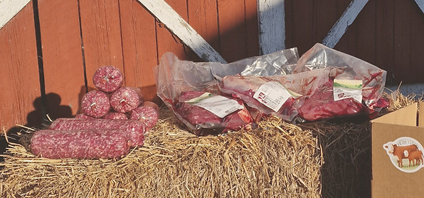 20251120_113013_edited.jpg