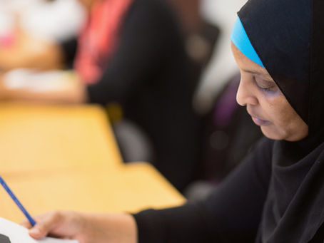 Multilingual Survey Launch