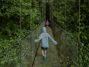 Two children in raincoats walk across a metal suspension bridge in a lush rainforest. One wears blue, the other pink, surrounded by greenery.
