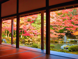 Autumn Foliage Beyond the Standard Drive