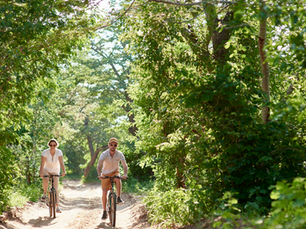Two people cycling on a sunlit forest path. Lush green trees surround them, creating a serene, summery atmosphere.