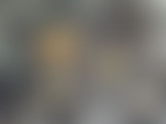 חכמת הקוצים