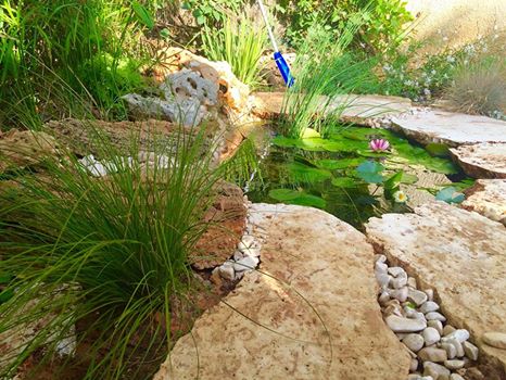 בריכת דגים קטנה גובלת באני כוכרר