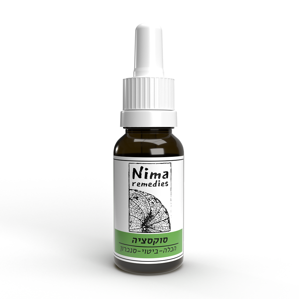 Thumbnail: סוקסציה: הכלה, ביטוי וסנכרון