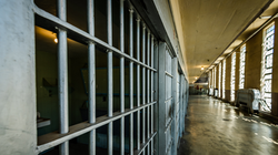 A confecção de Amicus curiae para a Opinião Consultiva da Corte Interamericana de Direitos Humanos.