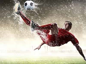 토토프레이 토토사이트 추천