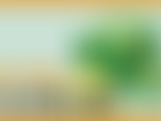 토토사이트 꽁머니 지급 이유와 먹튀 여부 확인하기