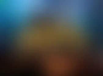 롤 토토사이트 추천