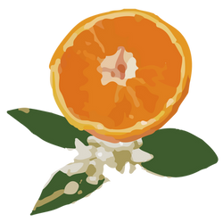 huru-tu-ohana_アートボード 1