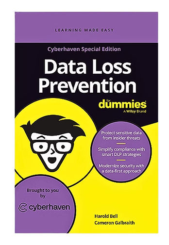 Data Loss Prevention For Dummies book cover