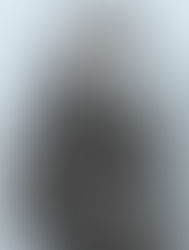 Perspectives of Zora Neale Hurston