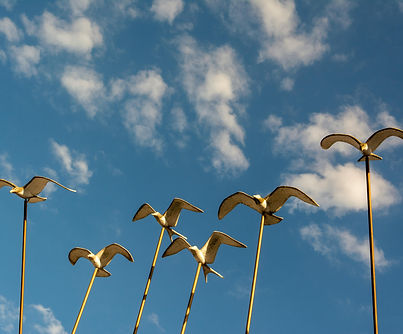 CHID 01 (18).jpg