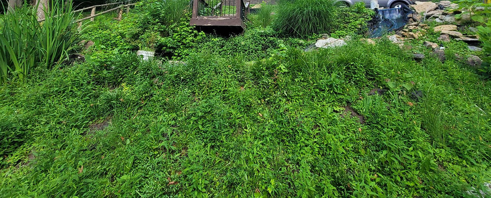 20220625_072823_edited.jpg