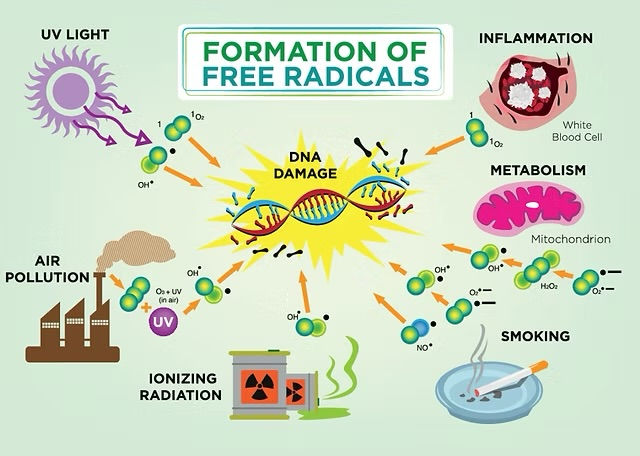 free radical skin damage and microneedling treatment in Buckhead Atlantafree radical skin damage and microneedling treatment in Buckhead Atlanta