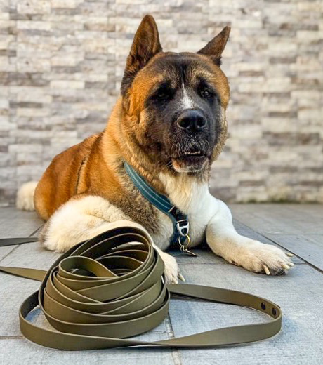 Miniature : La Merveilleuse - Longe Multi-Positions (5 en 1!)