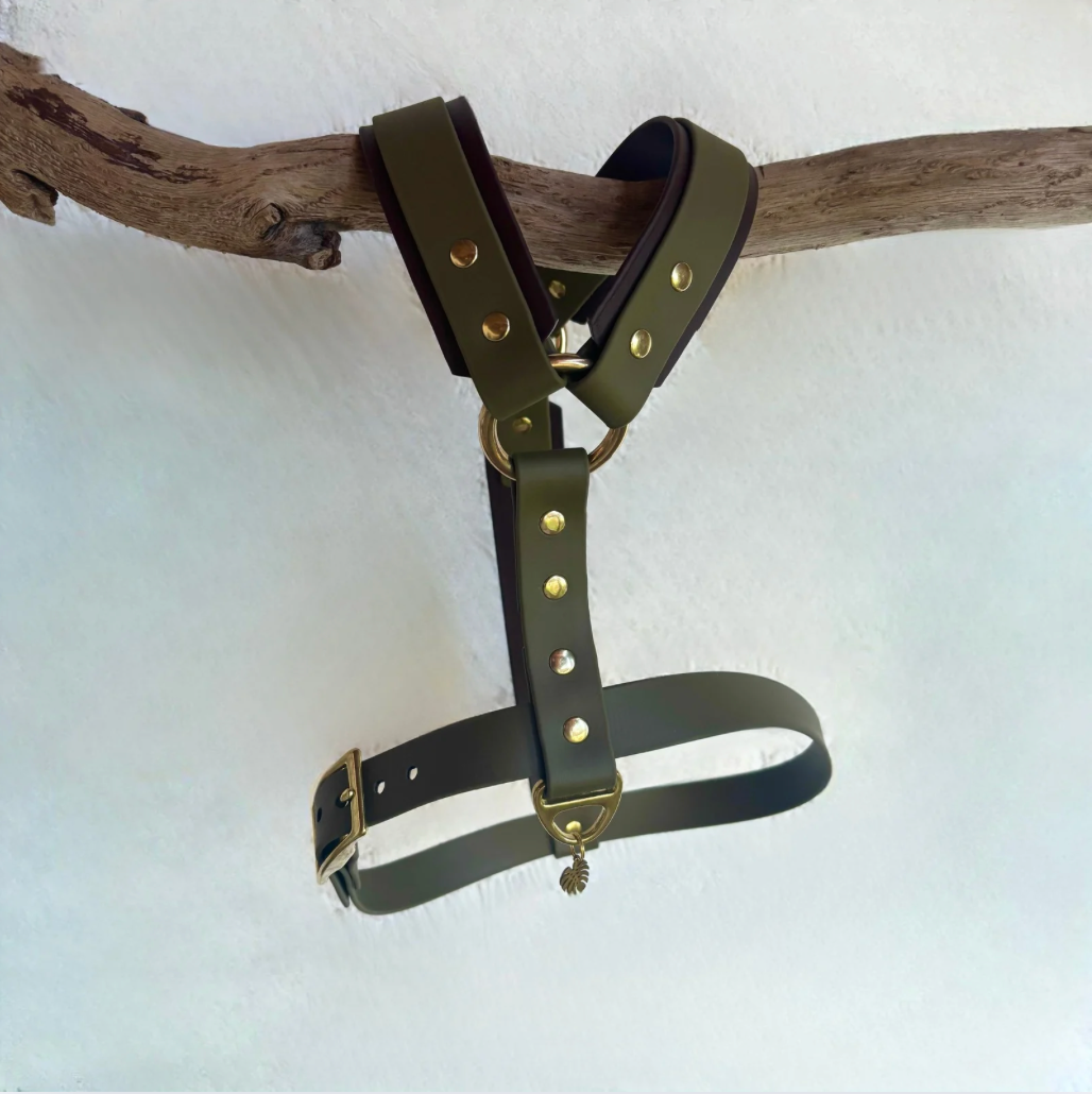 Harnais avec Renforts